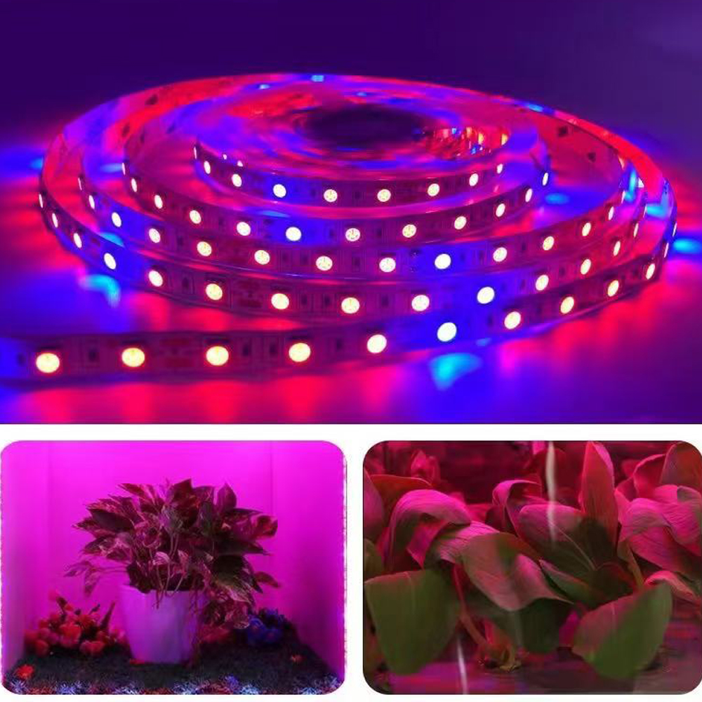 Outdoor Power And Plant - 20M LED Grow Light Spectrum DC12V