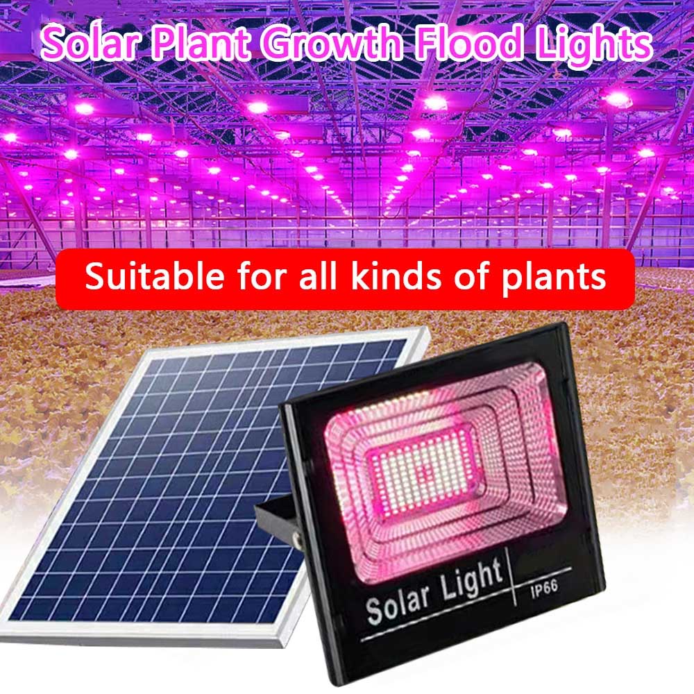 Solar LED Grow Light Full Spec - Outdoor Power And Plant ulasan dan harga