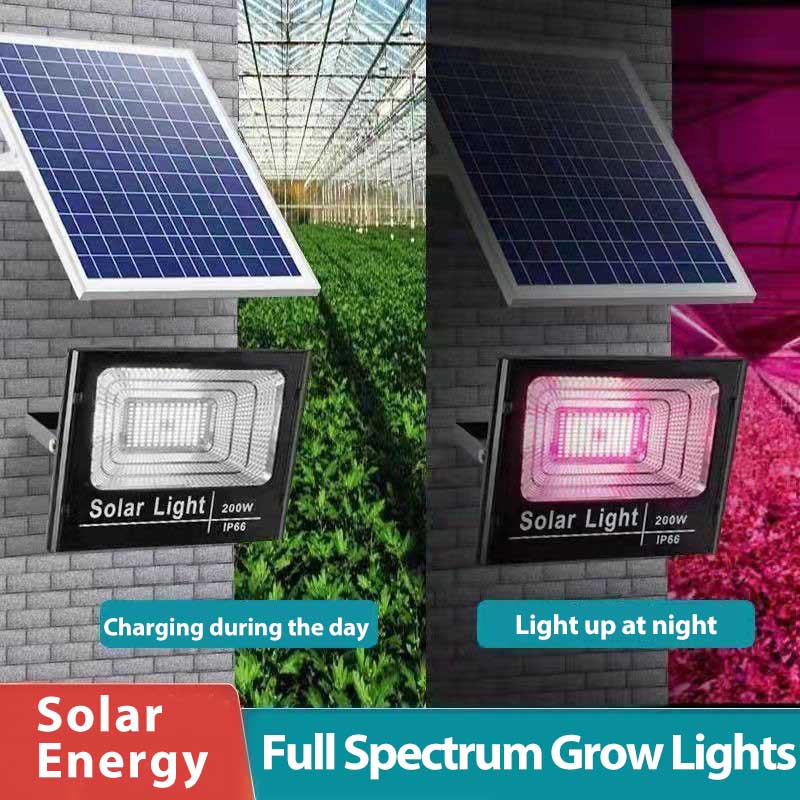 Solar LED Grow Light Full Spec - Outdoor Power And Plant ulasan dan harga