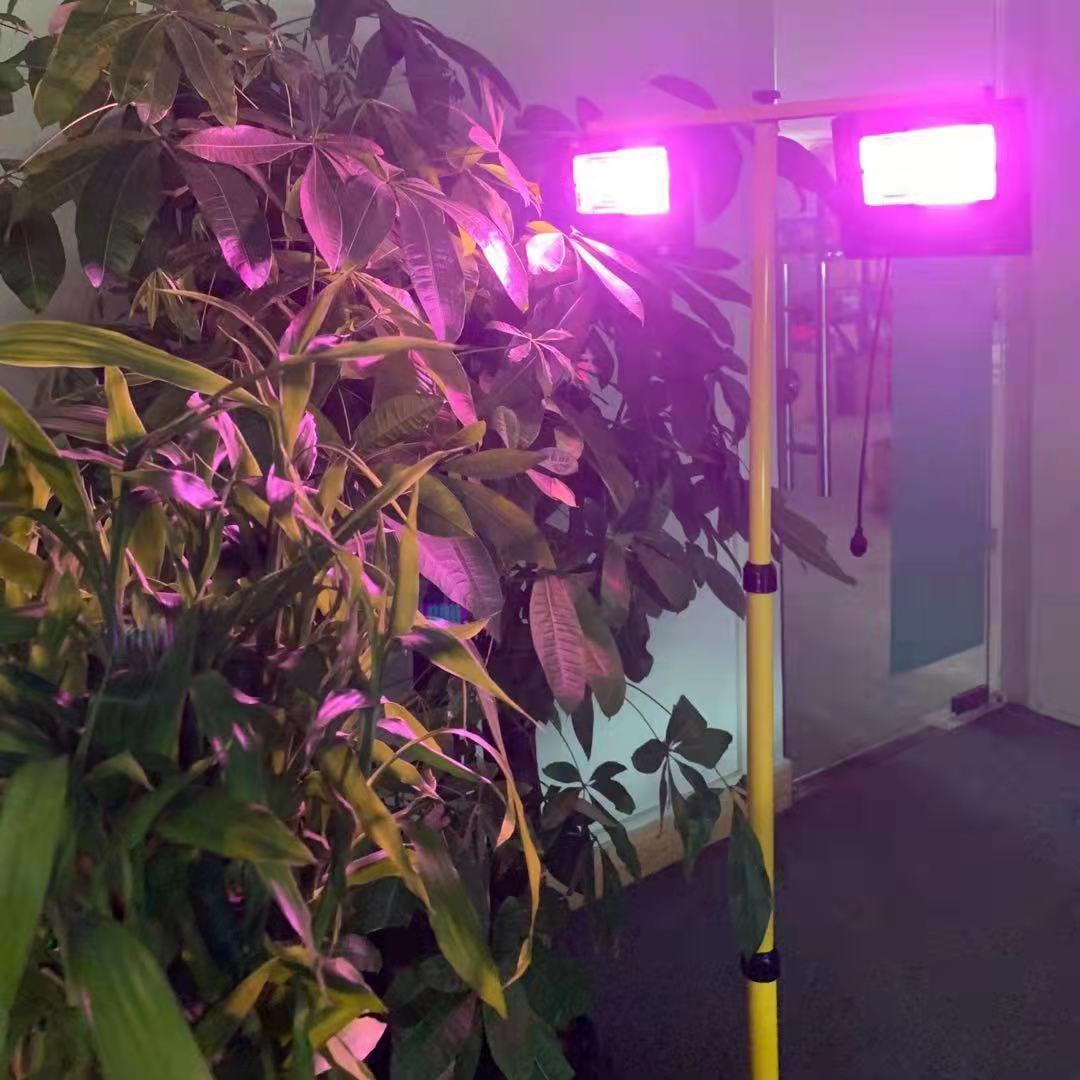 Solar LED Grow Light Full Spec - Outdoor Power And Plant ulasan dan harga