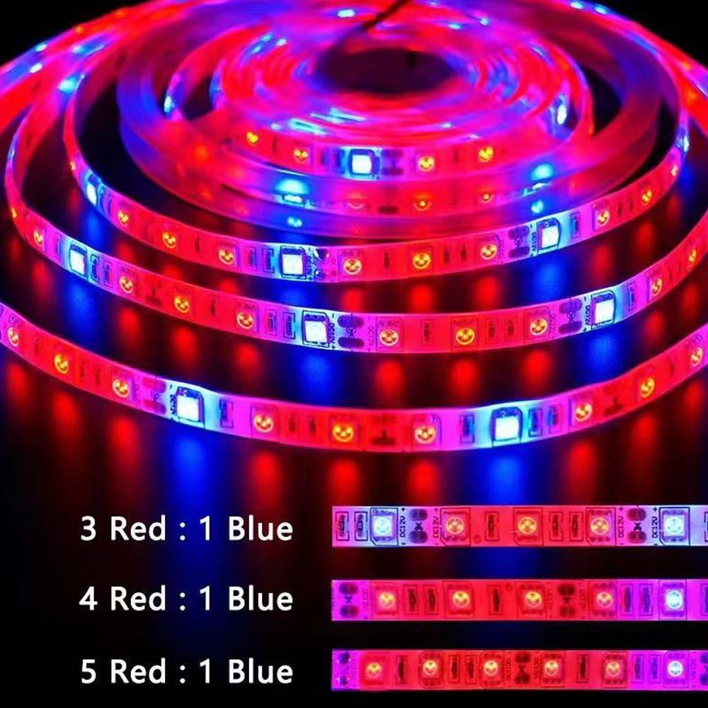 20M LED Grow Light Spectrum DC - Outdoor Power And Plant ulasan dan harga