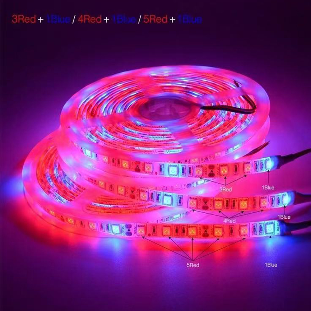 20M LED Grow Light Spectrum DC - Outdoor Power And Plant ulasan dan harga