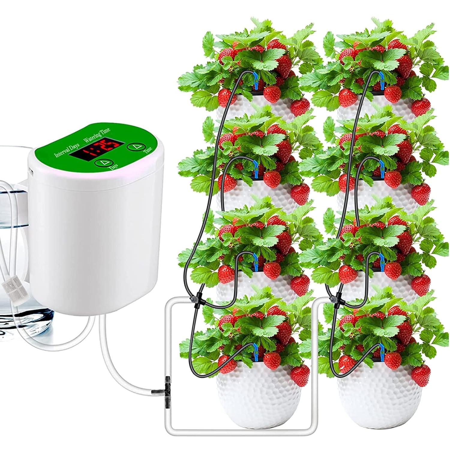 Outdoor Garden Plant Watering  - Outdoor Power And Plant ulasan dan harga